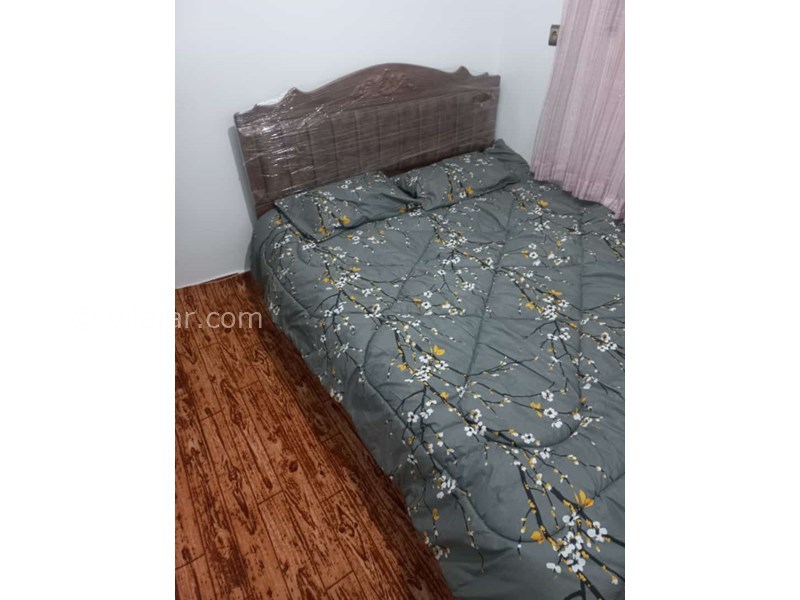 عکس شماره 745594 - اجاره ویلا ماسال در دل جنگل -