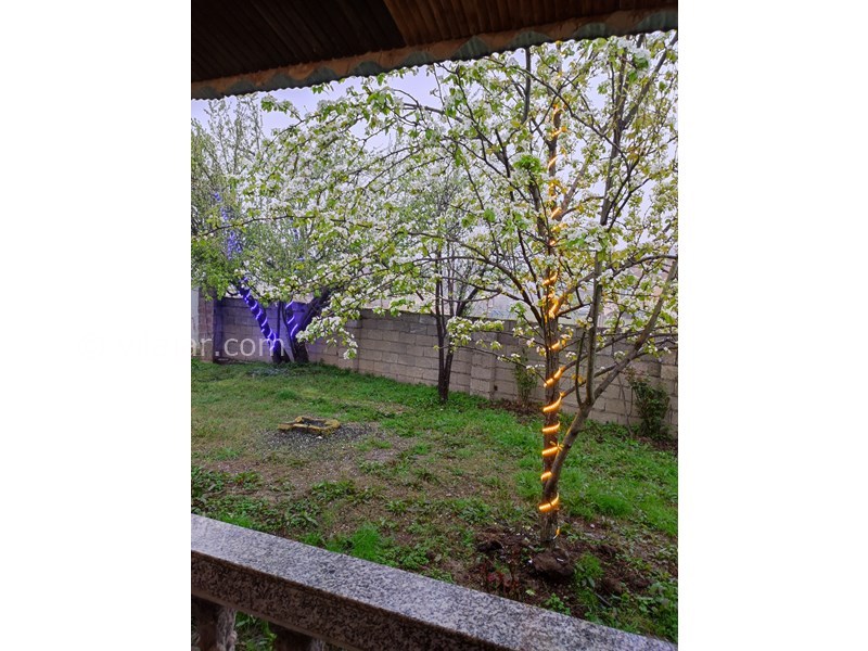 عکس شماره 745680 - اجاره ویلا جنگلی در ماسال - 