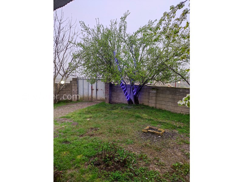 عکس شماره 745681 - اجاره ویلا جنگلی در ماسال - 