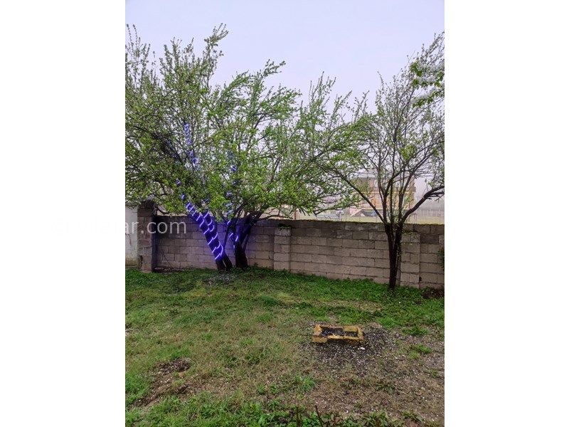 عکس شماره 745682 - اجاره ویلا جنگلی در ماسال - 