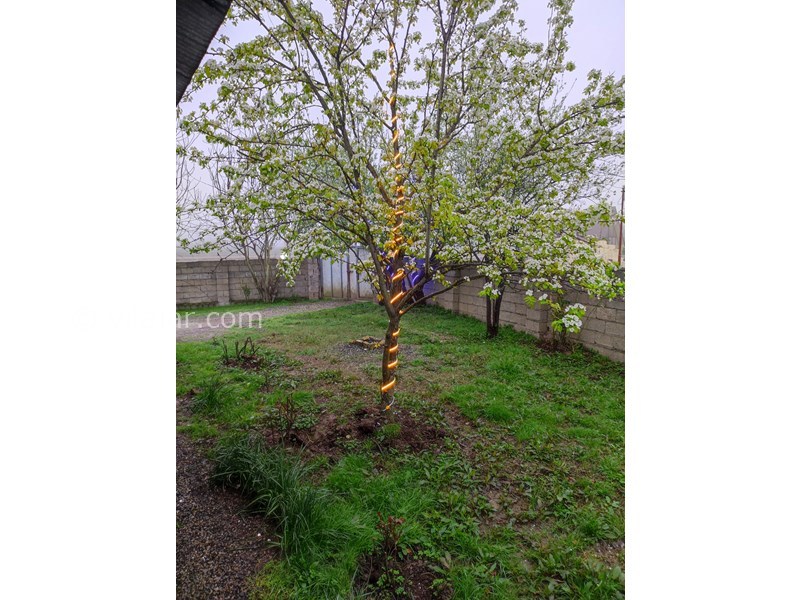 عکس شماره 745683 - اجاره ویلا جنگلی در ماسال - 