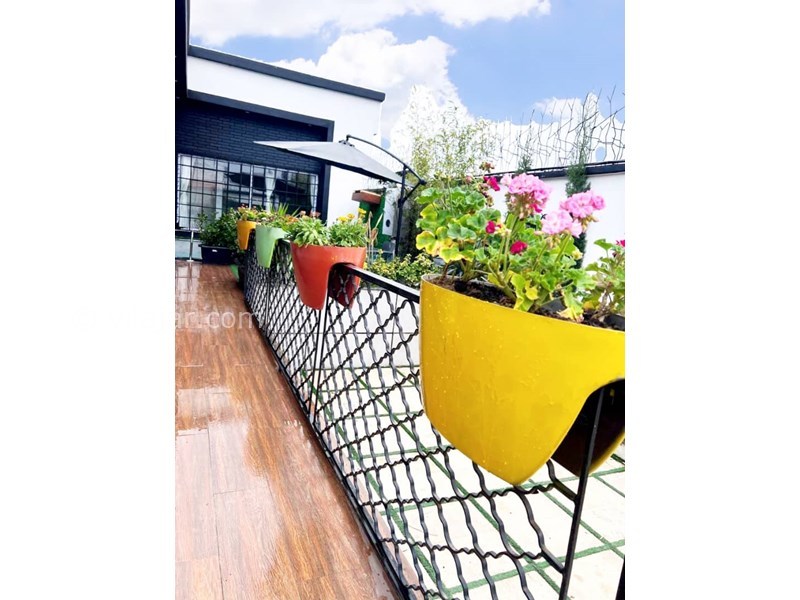 عکس شماره 746082 - اجاره ویلا با استخر روباز محمودآباد - 