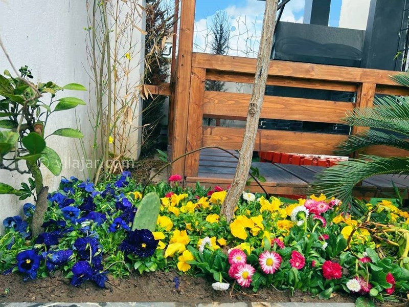 عکس شماره 746086 - اجاره ویلا با استخر روباز محمودآباد - 