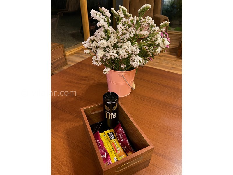 عکس شماره 747055 - اجاره ویلا چوبی در رامسر - 