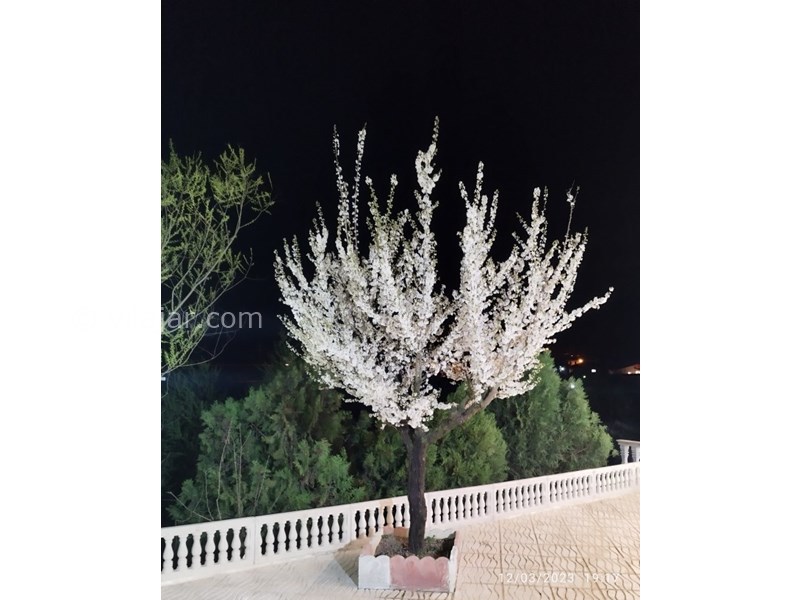 عکس شماره 747758 - اجاره ویلا در جوارم سوادکوه - حیاط کناری