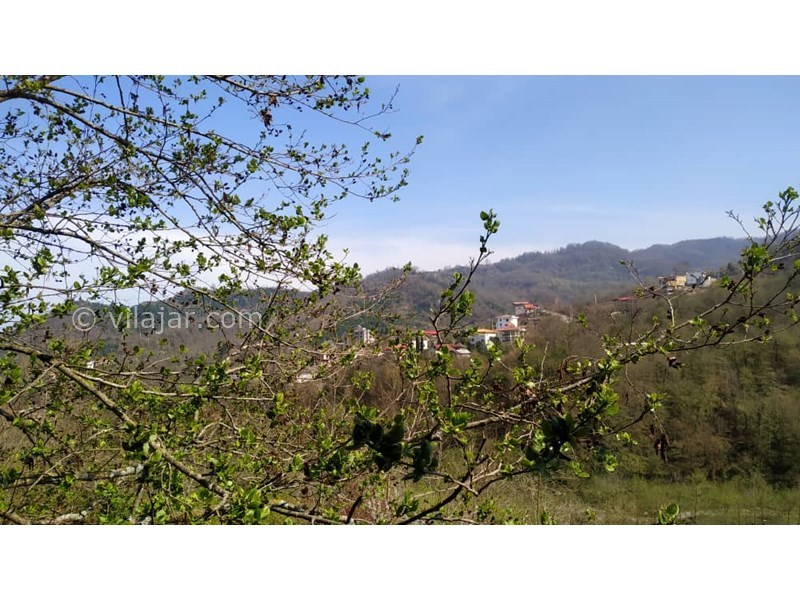 عکس شماره 748160 - اجاره کلبه چوبی با جکوزی در رامسر - 