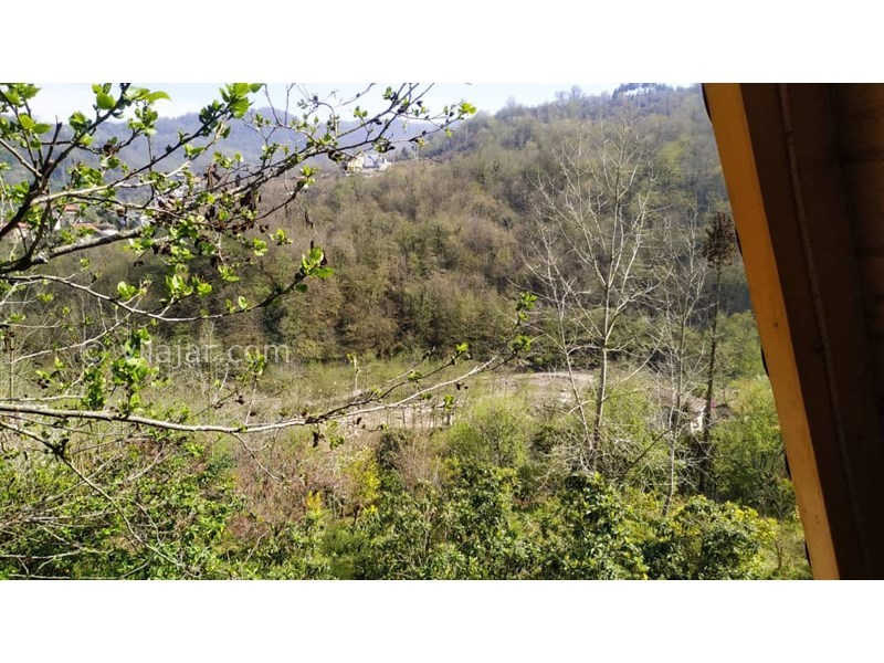 عکس شماره 748164 - اجاره کلبه چوبی با جکوزی در رامسر - 