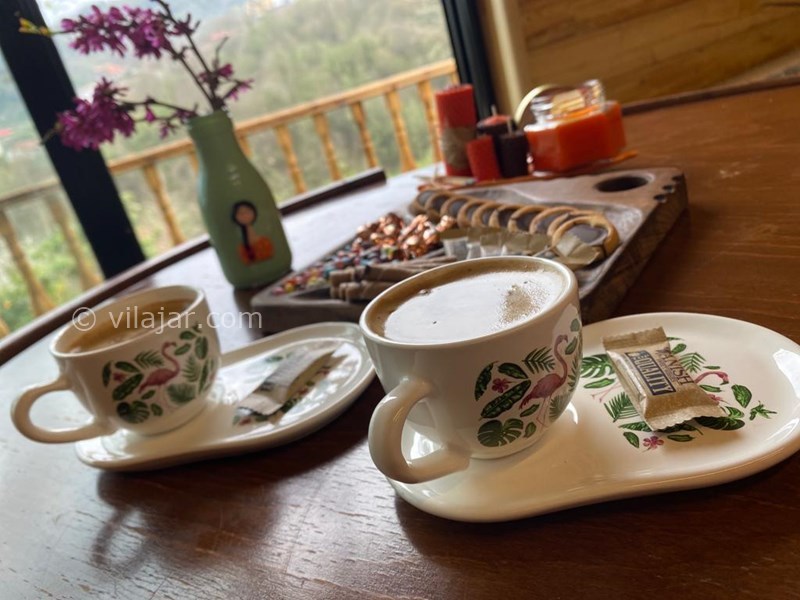 عکس شماره 748175 - اجاره کلبه چوبی با جکوزی در رامسر - 