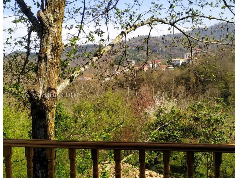 عکس شماره 748808 - اجاره کلبه چوبی با جکوزی در رامسر - 