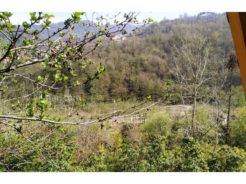 عکس شماره 748820 - اجاره کلبه چوبی با جکوزی در رامسر - 