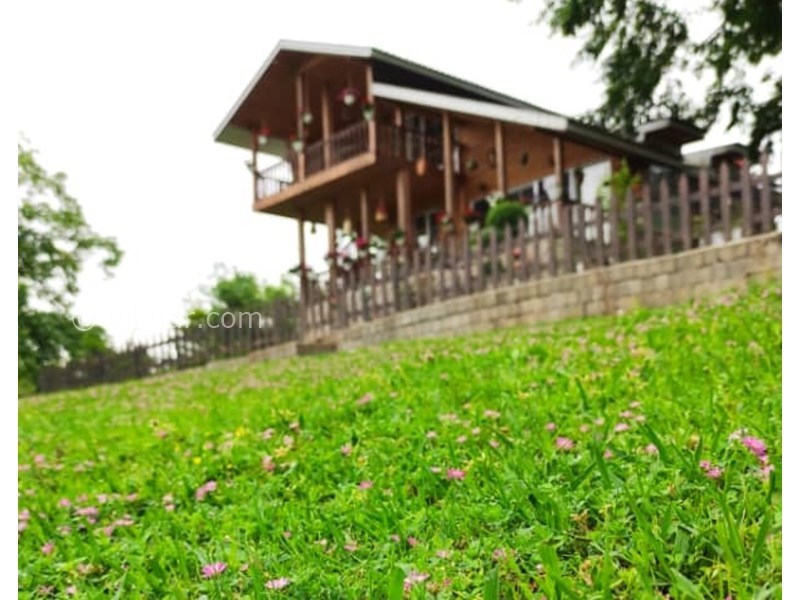 عکس شماره 749664 - اجاره ویلا ماسال روستای ورمیه - 