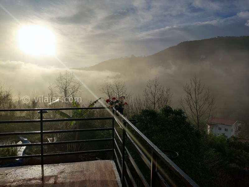 عکس شماره 750229 - ویلای گل شمعدانی رامسر با استخر - 