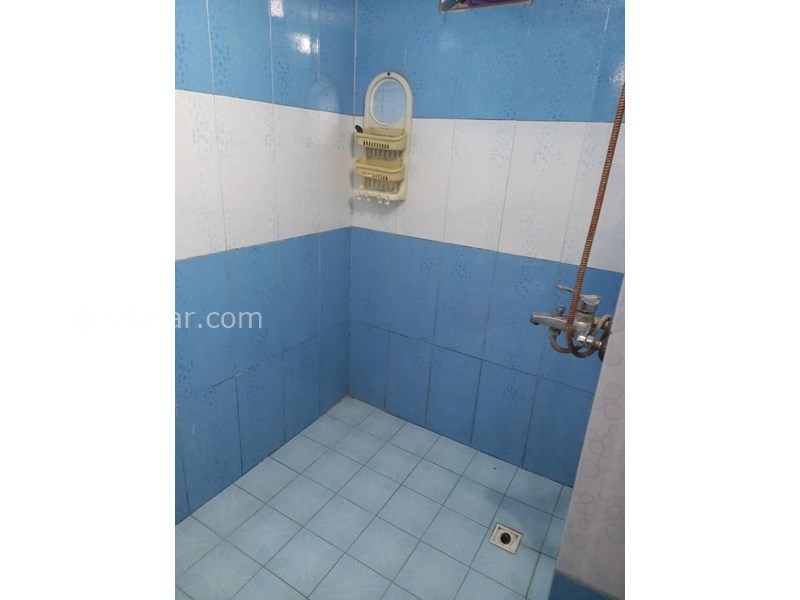 عکس شماره 750611 - اجاره خانه در تنکابن جنگلی - 