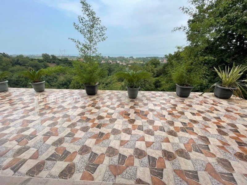 عکس شماره 751197 - ویلا جنگلی با استخر جکوزی رامسر - 