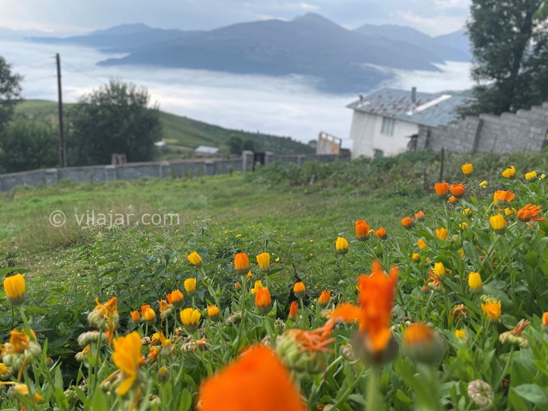 عکس شماره 751479 - اجاره خانه ویلایی در فیلبند - 