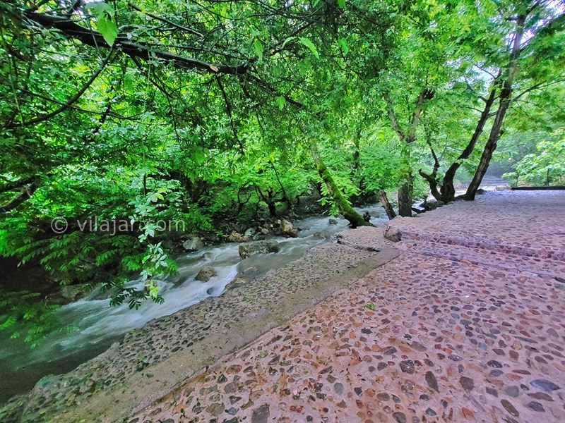 عکس شماره 751530 - ویلا با استخر لب رودخانه ماسال - لب رودخانه اختصاصی