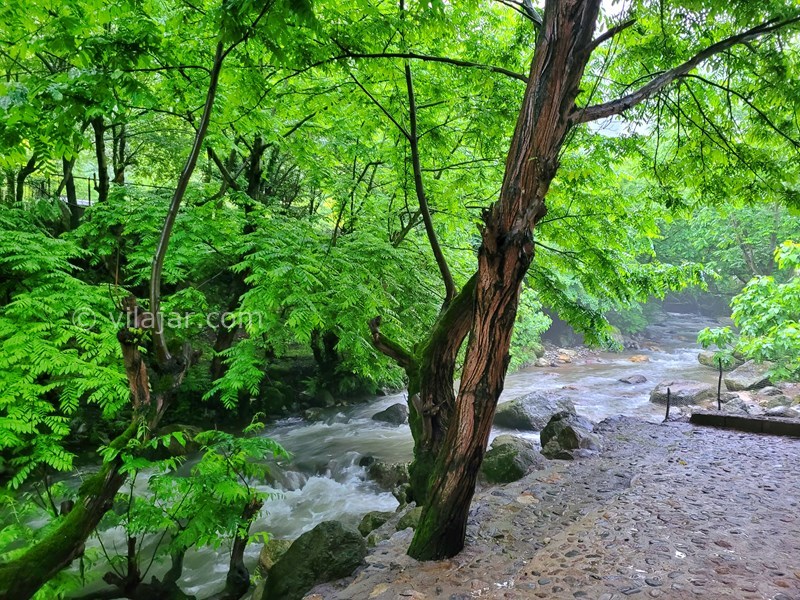 عکس شماره 751533 - ویلا با استخر لب رودخانه ماسال - لب رودخانه اختصاصی