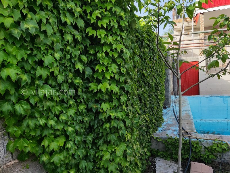 عکس شماره 751834 - اجاره ویلا باغ در گلستان کلاله -