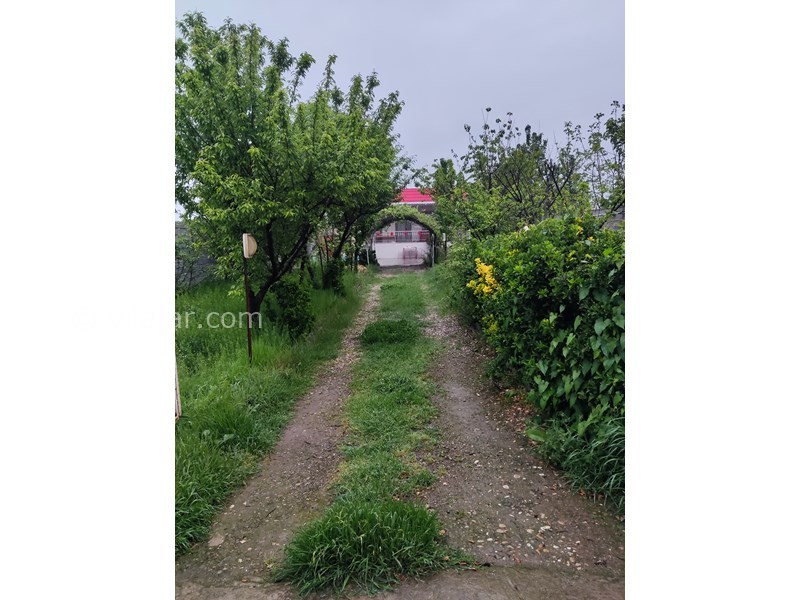 عکس شماره 751847 - اجاره ویلا باغ در گلستان کلاله -