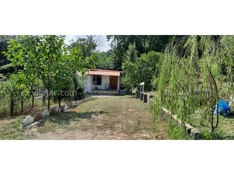 عکس شماره 752005 - ویلا جنگلی در سوادکوه شیرگاه -