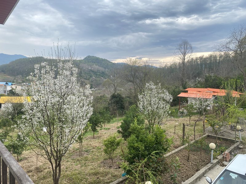 عکس شماره 752009 - اجاره ویلا جنگلی در شیرگاه - 