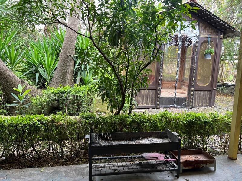 عکس شماره 752862 - اجاره ویلا ساحلى در ایزدشهر - 