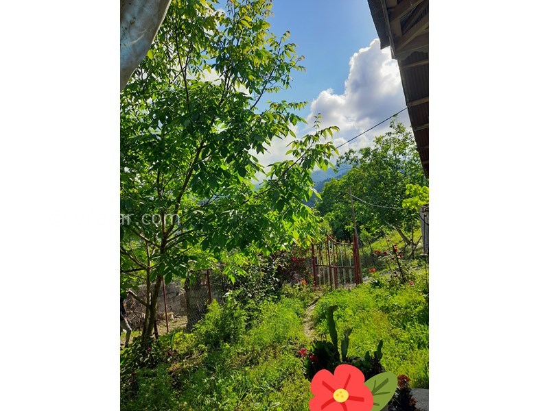 عکس شماره 753420 - اجاره ویلا جنگلی در ماسال آهکلان - حیاط ویلا