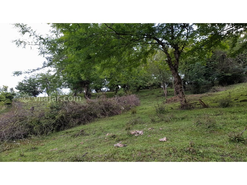 عکس شماره 753421 - اجاره ویلا جنگلی در ماسال آهکلان - جنگل بالای ویلا۲دقیقه پیاده