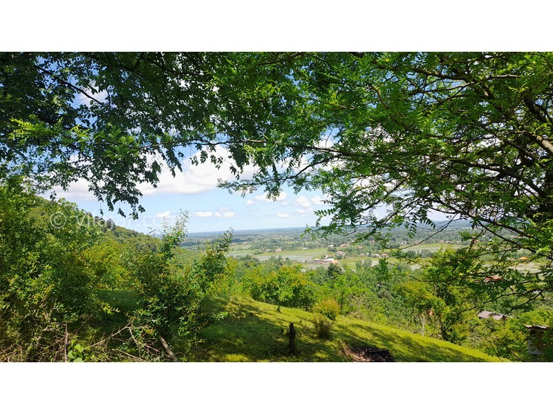 عکس شماره 753423 - اجاره ویلا جنگلی در ماسال آهکلان - جنگل بالای ویلا۲دقیقه پیاده