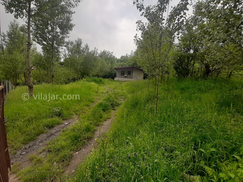 عکس شماره 754295 - اجاره ویلا جنگلی در تالش - 