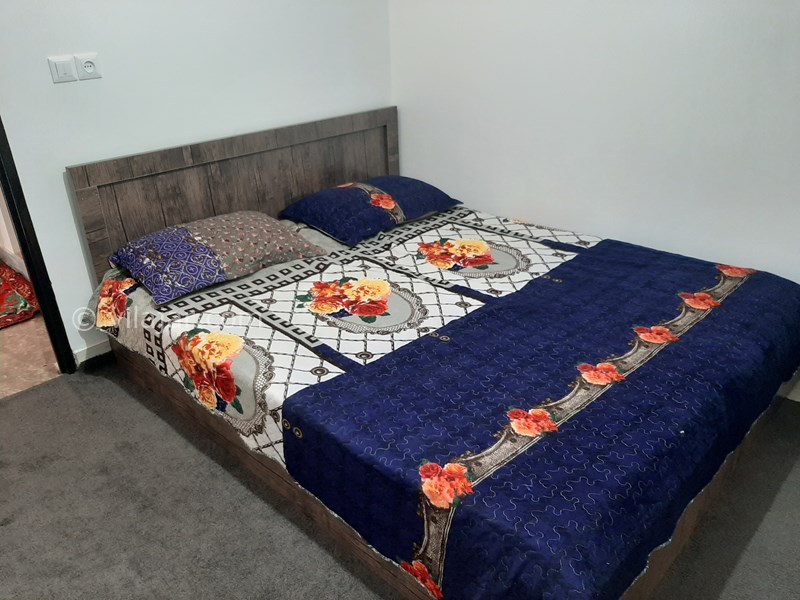 عکس شماره 754301 - اجاره ویلا جنگلی در تالش - 