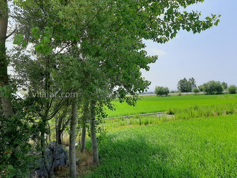 عکس شماره 755686 - ویلا با استخر روباز نزدیک محمودآباد - 