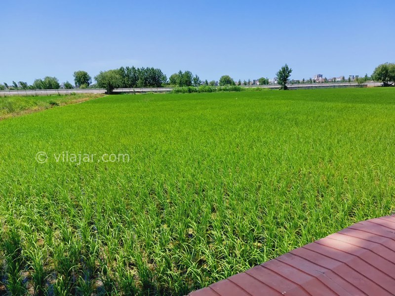 عکس شماره 755691 - ویلا با استخر روباز نزدیک محمودآباد - 