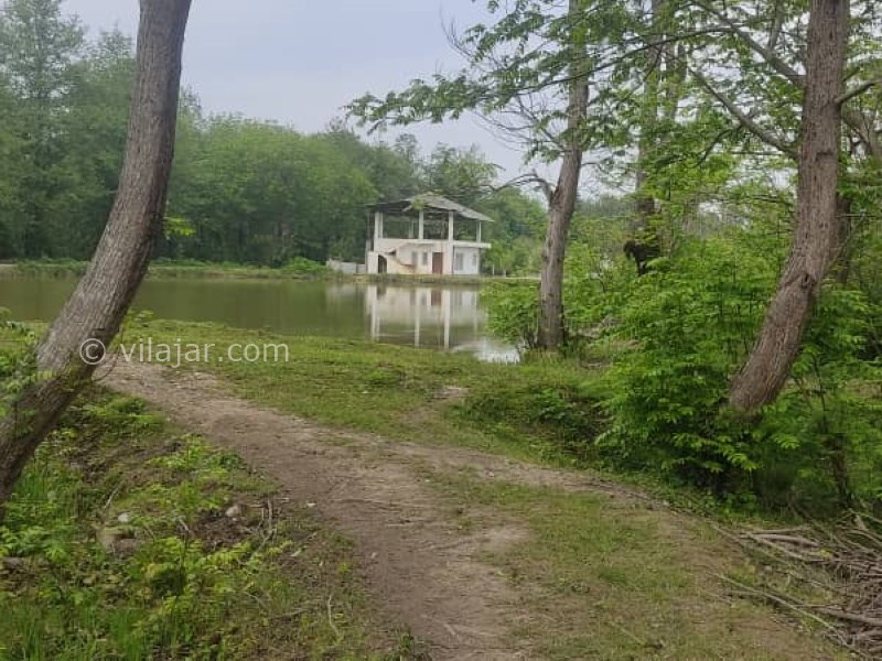 عکس شماره 756895 - اجاره ویلا جنگلی در نور کنار برکه - 