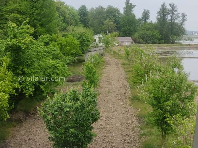 عکس شماره 756899 - اجاره ویلا جنگلی در نور کنار برکه - 