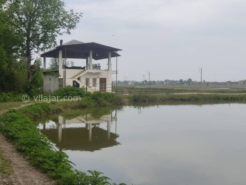 عکس شماره 756901 - اجاره ویلا جنگلی در نور کنار برکه - 