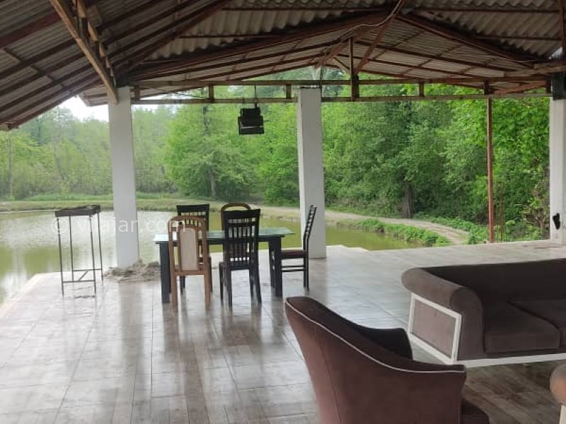 عکس شماره 756902 - اجاره ویلا جنگلی در نور کنار برکه - 