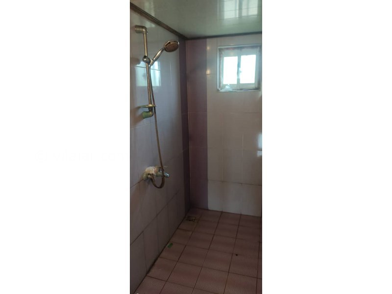 عکس شماره 756904 - اجاره ویلا جنگلی در نور کنار برکه - 