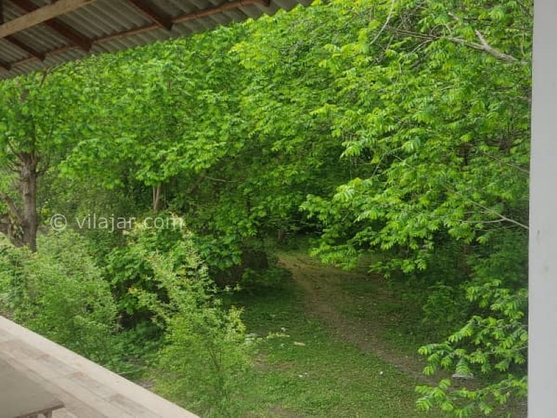 عکس شماره 756905 - اجاره ویلا جنگلی در نور کنار برکه - 