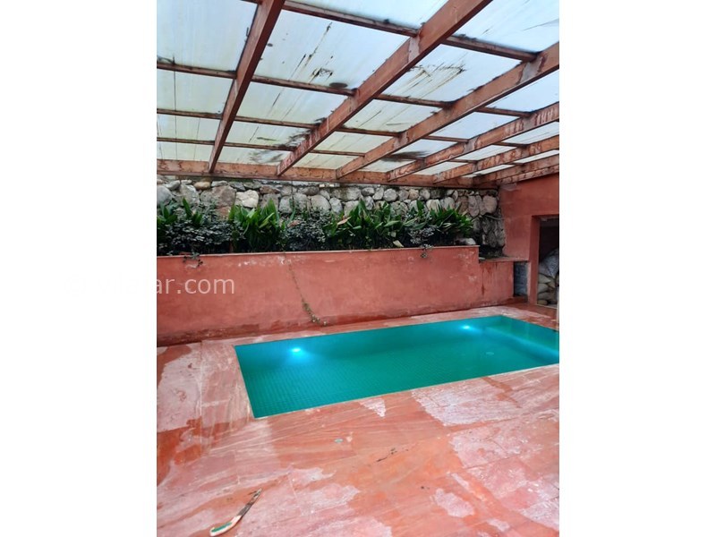 عکس شماره 757322 - ویلا جنگلی رامسر با استخر چهارفصل - 