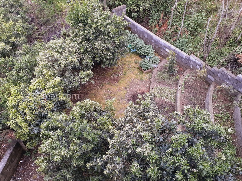 عکس شماره 757377 - اجاره اقامتگاه در رامسر - 