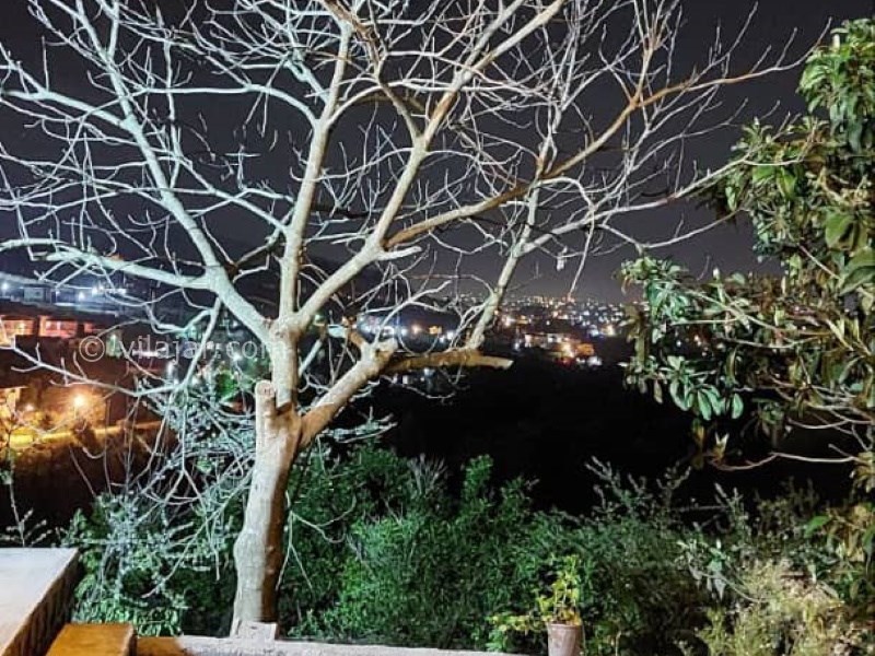 عکس شماره 757441 - ویلا باغ جنگلی با جکوزی در رامسر - 