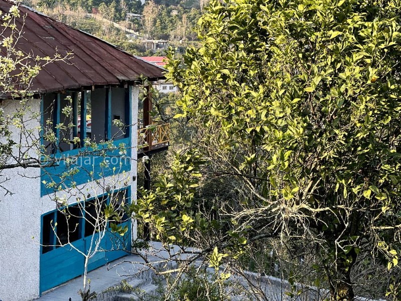 عکس شماره 757443 - ویلا باغ جنگلی با جکوزی در رامسر - 