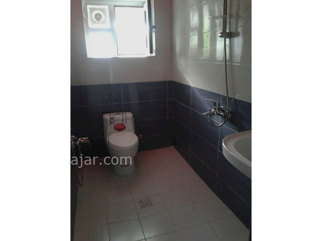 عکس شماره 75747 - ویلا بااستخر سرپوشیده و سونا - 