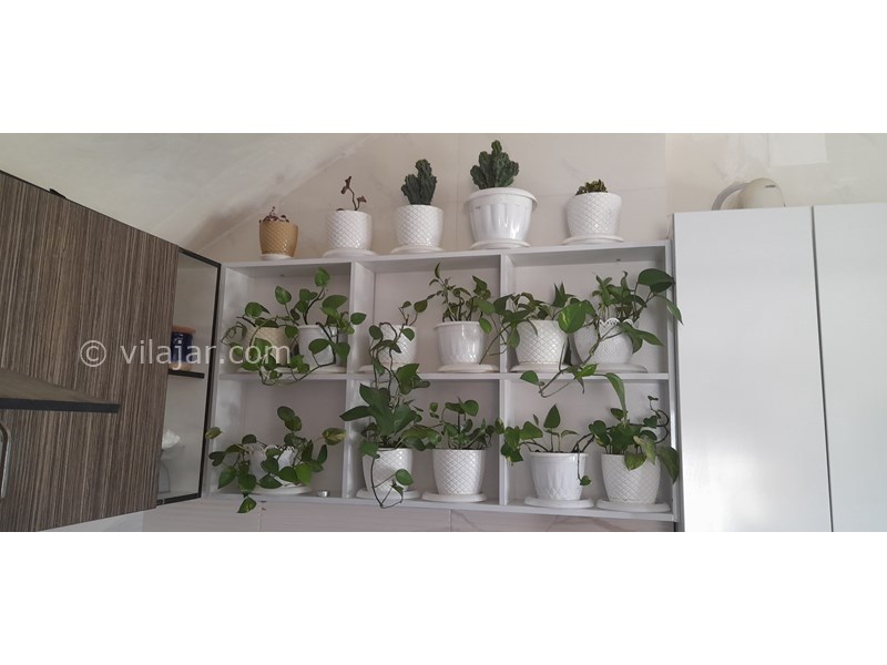 عکس شماره 757547 - ویلا دوبلکس در جاده ییلاقات ماسال - گل‌های طبیعی 