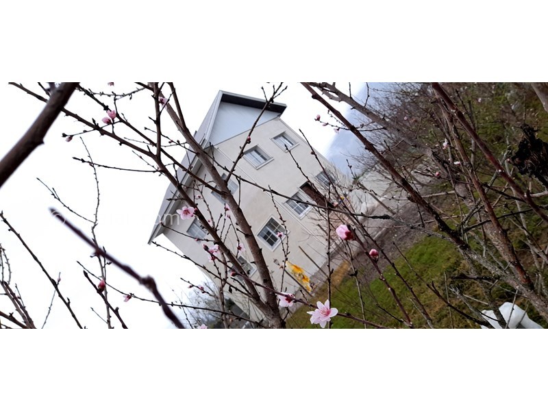 عکس شماره 757550 - ویلا دوبلکس در جاده ییلاقات ماسال - دور از هیاهوی شهرنشینی 