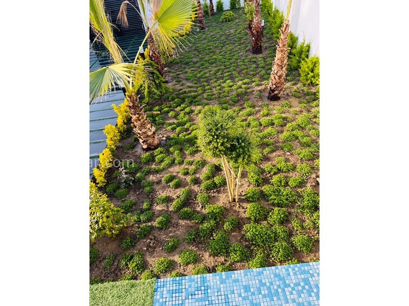 عکس شماره 758891 - اجاره کلبه سوئیسی استخردار سرخرود - 