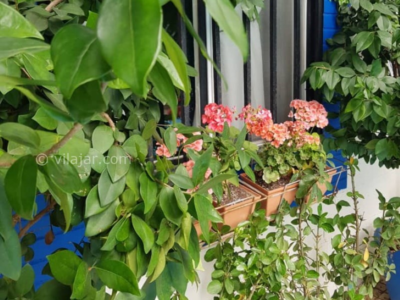 عکس شماره 759733 - ویلا با استخر آبگرم نزدیک کردان - 