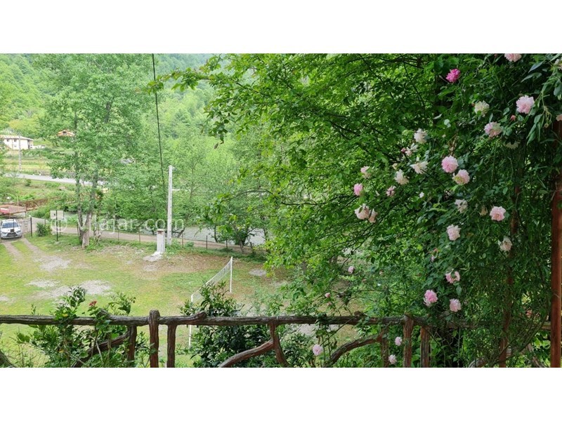 عکس شماره 760106 - اجاره ویلا جنگلی در شاندرمن - ویو از به حیاط پایین و زمین والیبال و رودخانه 