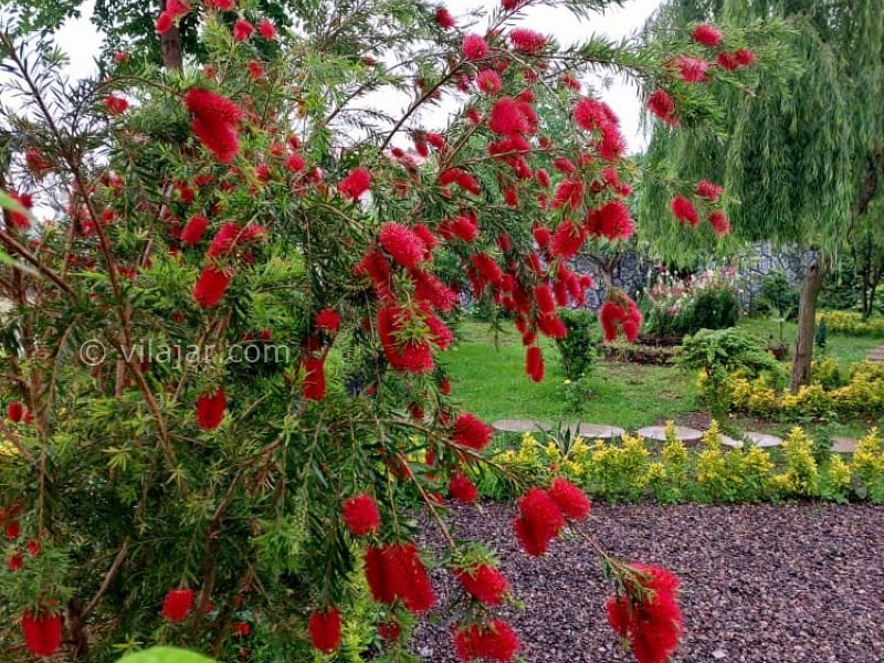 عکس شماره 760139 - ویلا باغ آرامش وشمه سرا ماسال - 